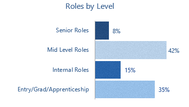 Chart depicting Roles by level by Sonru - changing face of video interviewing